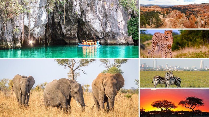 Discovering the Natural Wonders of Africa's National Parks